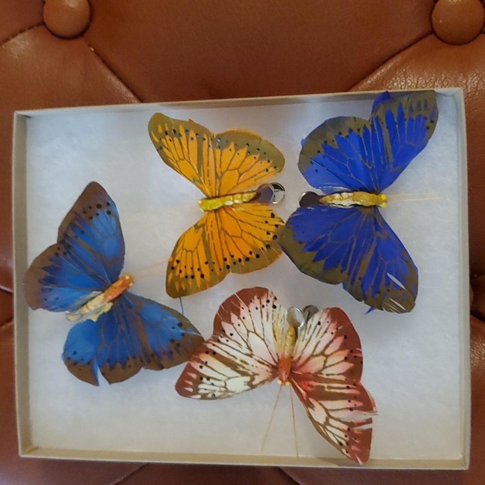 Butterfly Clips